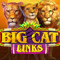 Big Cat Links