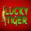Lucky Tiger